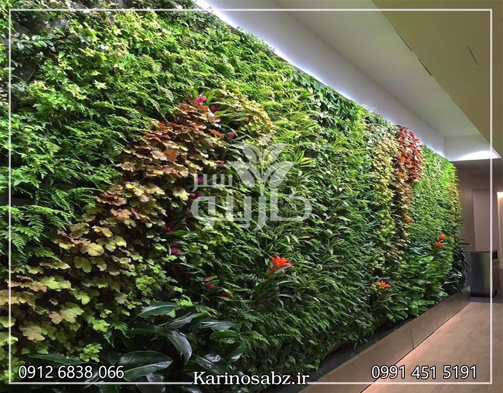 قیمت گرین وال