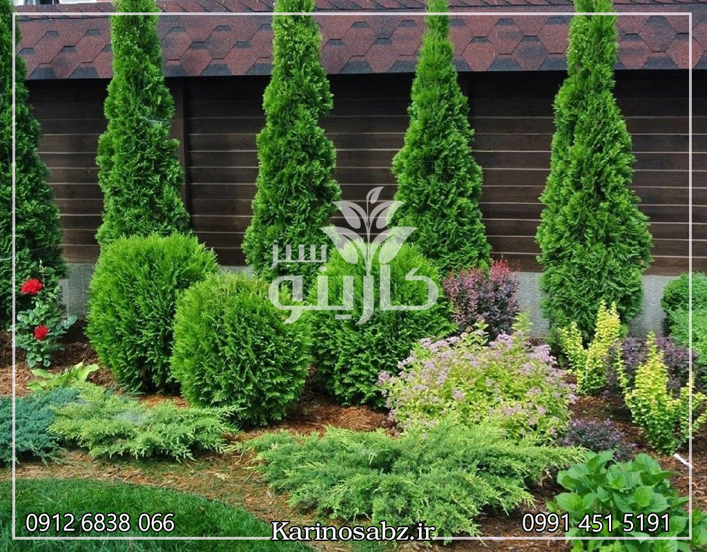 اجرای محوطه سازی