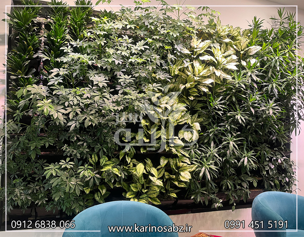 دیوار سبز طبیعی