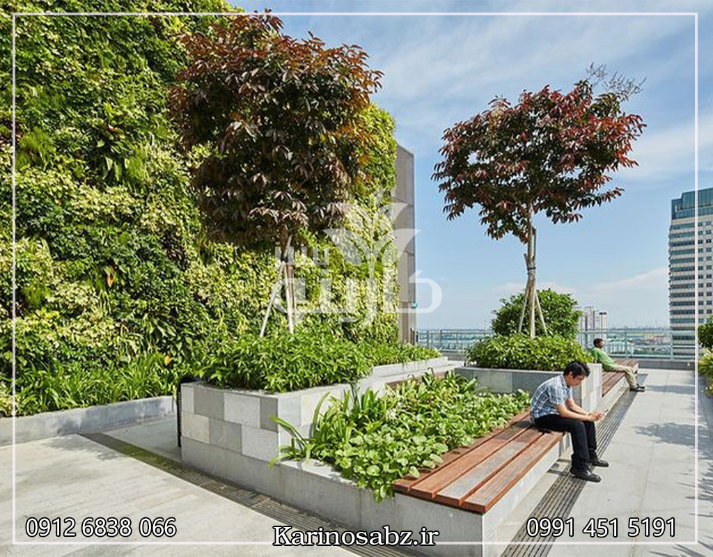 گیاهان مناسب روف گاردن
