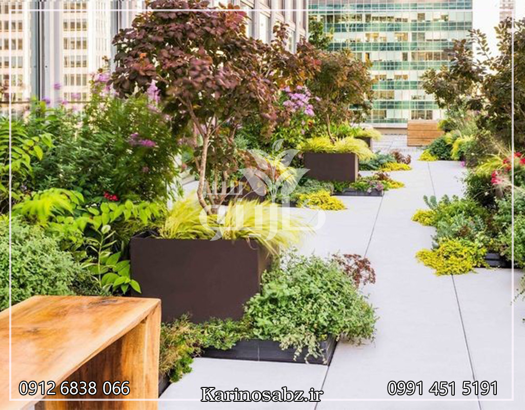 گیاهان روف گاردن