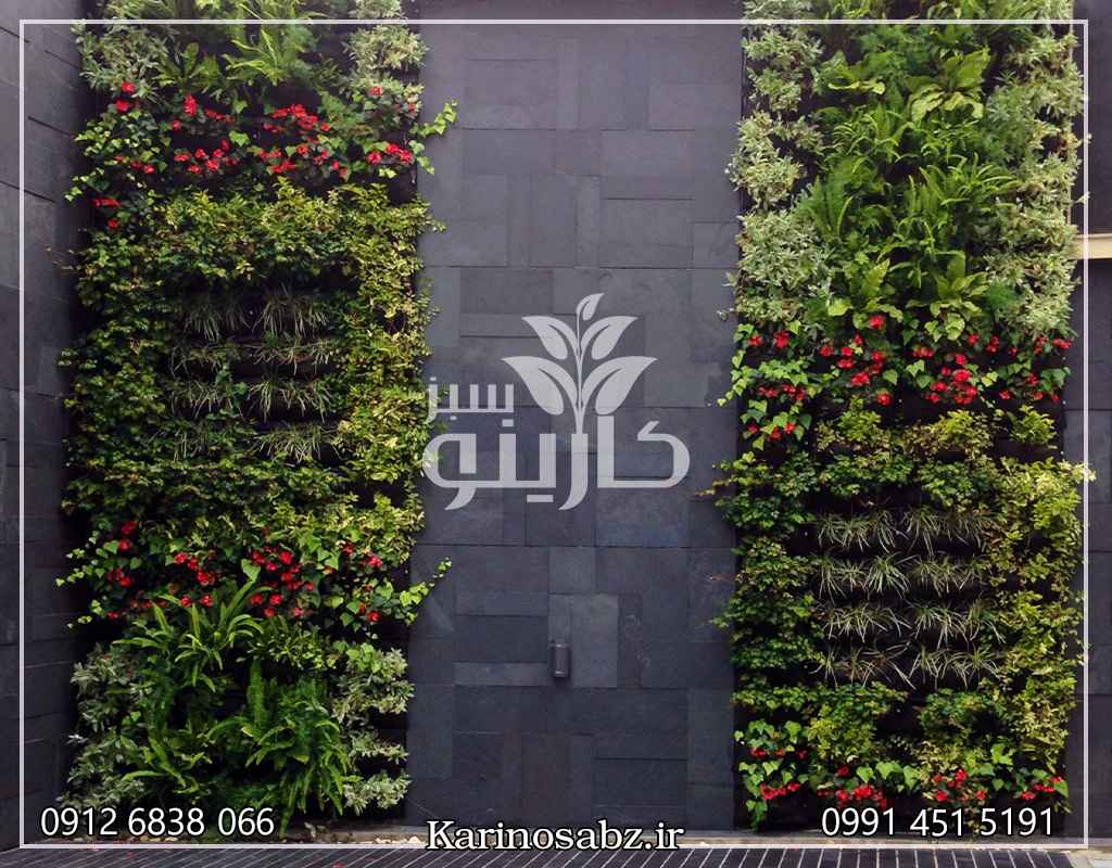 اجرای دیوار سبز