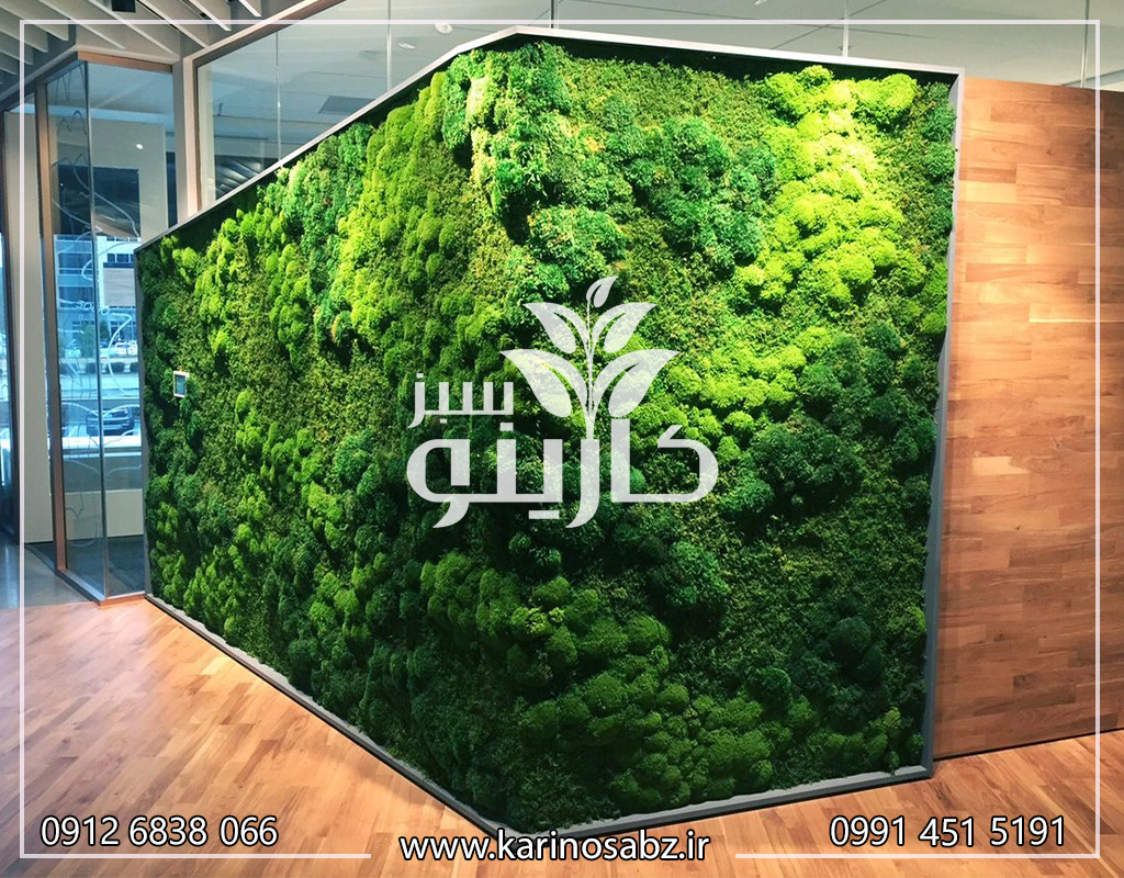 قیمت دیوار سبز خزه ای