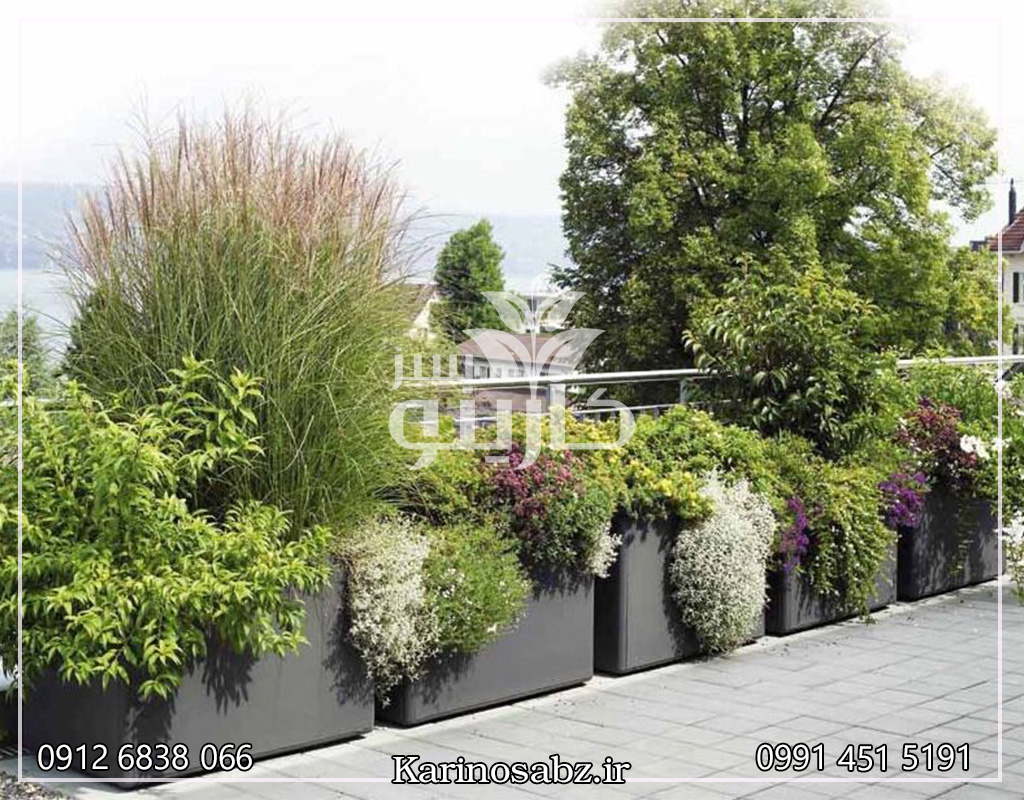 درختچه های روف گاردن