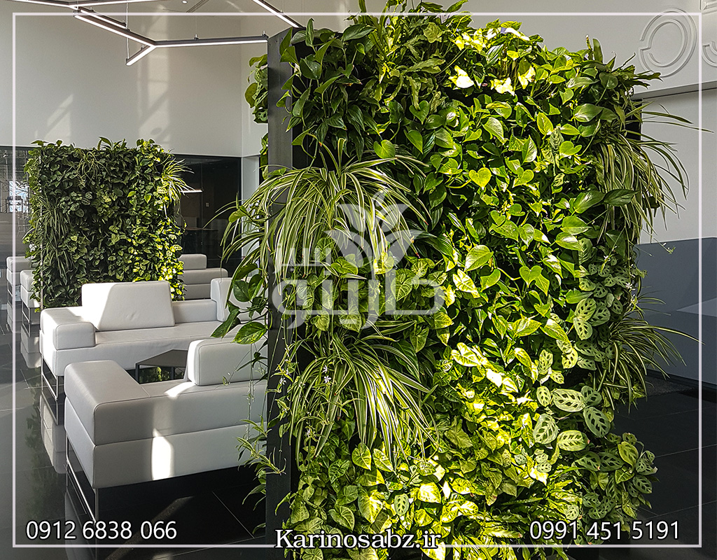 اجرای دیوار سبز کرج