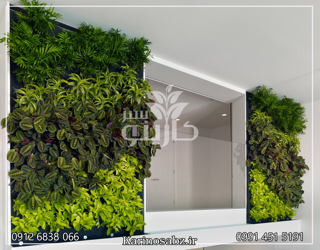 دیوار سبز ، اجرای دیوار سبز منزل ، اجرای دیوار سبز طبیعی