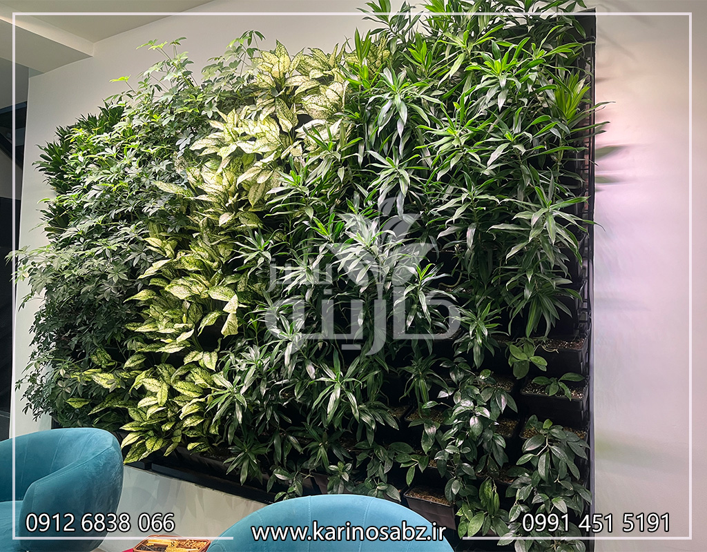 اجرای گرین وال