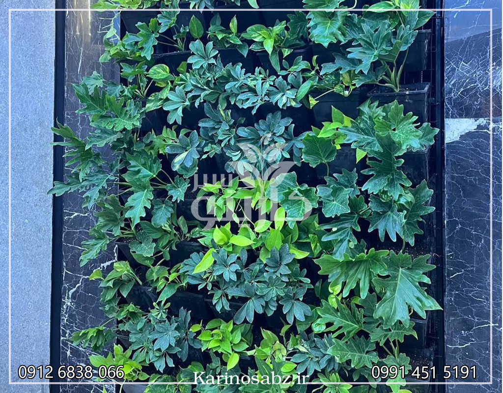 اجرای دیوار سبز در تهران