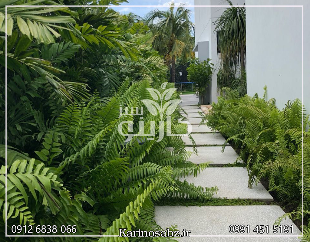 خدمات نگهداری فضای سبز