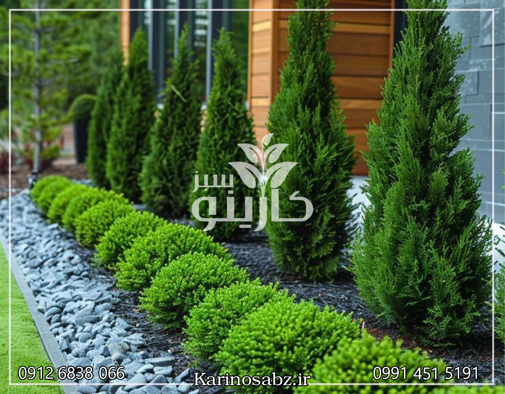 محوطه سازی ویلا