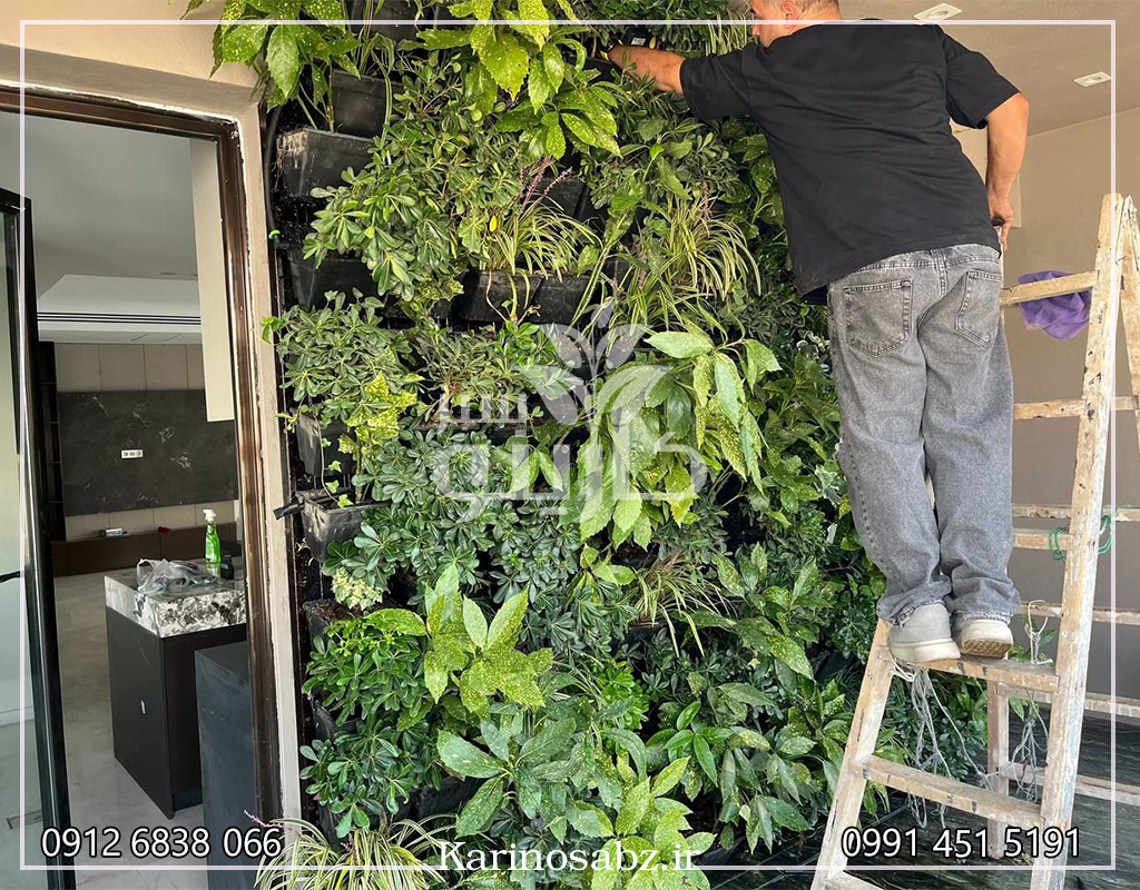 اجرای دیوار سبز در منزل